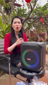 Loa xách tay 8112- 1 bass 20- kèm 2 micro không dây thiết kế hiện đại nhỏ gọn dễ mang theo vừa hát vừa nghe nhạc kết nối bluetooth  TWS...