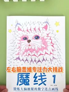 【现货速发】Ultimate Mazes book 迷宫 Ultimate Dot-to-Dot Animals魔线线条 专注力训练