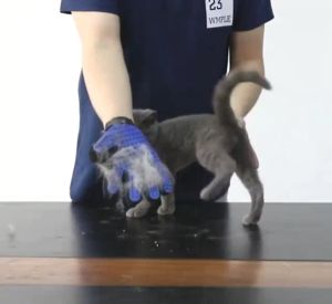 ถุงมือแปรงขนสัตว์เลี้ยง ที่แปรงขนสัตว์เลี้ยง True Touch Pet the hair