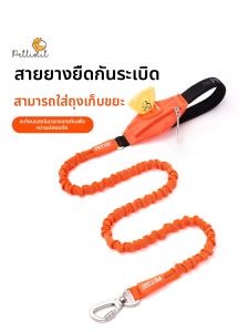 Dây Dắt Chó Co Giãn Chống Sốc cho Chó Vừa và Lớn