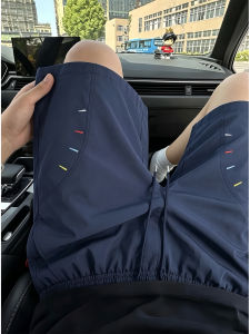 LIUBU | Navy Blue Oblique Embroidery Quick-Drying Mens Shorts