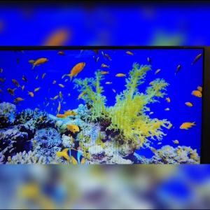 HP Zbook 15 G3 Workstation Laptops Intel Xeon E3-1505M v5 2.80GHz  16GB RAM  512GB SSD  4GB Shared Memory Graphics Card  Windows 10  Ms office