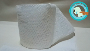 [1 Bundle - 48 Rolls] Bathroom Tissue Roll Virgin Pulp 2 ply