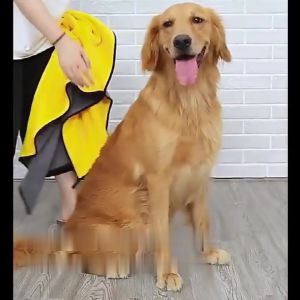 Pet Dog Cat Dryer Blower Low Noise Fast Drying Hair Dryer for Pet Pet Grooming Supplies
