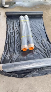 Màng phủ Cao 2m4 Dài 400m Dùng trong nông nghiệp và công trình.