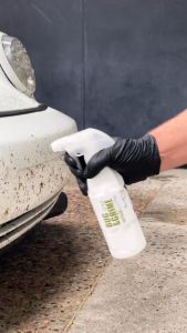 bug & grime.mp4