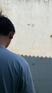 PRO PAINT Cat tembok kiloan wangi tahan lama anti luntur anti ngapur kemasan 1/2 KG