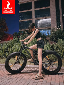 Multi-terrain Compatible Bicycle Tire