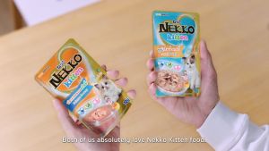 COMBO 12 GÓI - PATE NEKKO CHO MÈO