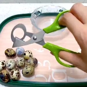 Marino Home กรรไกรตัดเปลือกไข่นกกระทา กรรไกรตัดเปลือกไข่ขนาดเล็ก No.Y1186