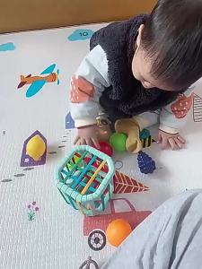 CONUSEA | Baby Educational Pedagogical Toys Early Developmental Sorting Cutting Fruits Interactive Games for Babies 6 12 Months 1 2 Year