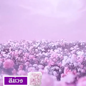 🔥50ชิ้น🔥 เม็ดน้ำหอมซักผ้า เม็ดบอลซักผ้าหอม เม็ดน้ำหอมขนาดเล็ก เม็ดน้ำหอมสำหรับซักผ้า เม็ดปรับผ้าให้หอม เม็ดน้ำยาปรับผ้านุ่ม เม็ดบอลซักผ้าหอม ThaiJOY