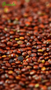 Greenola Organic Red Quinoa 1 kg