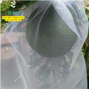 100 cái 35x40cm TÚI LƯỚI TỐT BỌC BƯỞI DƯA LƯỚI... - VẬT TƯ NÔNG NGHIỆP