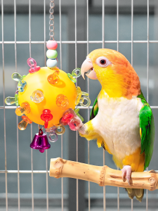 Parrot Toys Chew Ball Intelligence Stimulation Bird Toys for Parrots Stress Relief Hanging Toy Bird Feeder Small Sun Special