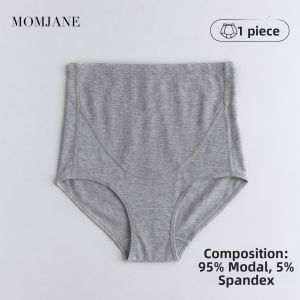 Mom Jane | Pregnant Women High Waist Support Panties
