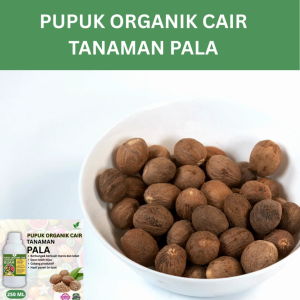 Pupuk Buah Pala 250 ML /Pupuk Booster Pala Cepat Berbuah Lebat/Pupuk Cair Pala