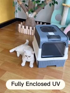 Cat Litter Box / Cat Toilet / Kitten Litter Box / Open Litter Box / Half Covered Litter Box / Enclosed Litter Box / Large Litter Box / Pet Toilet / Tofu Litter Box/ Sand Litter Box / Bentonite Litter Box / Best Litter Box / XL Litter Box