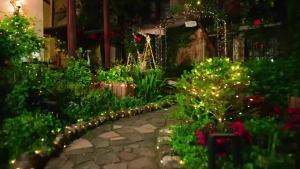 1PC 7M/12M/22M/32M Copper Wire Fairy Light StringSolar-powered8 Lighting ModesUsed for WeddingIndoorFestivalBedroomParty