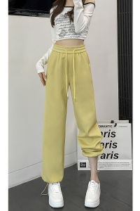 Grey High Waist Loose Straight Leg Casual Sweatpants Womens Spring Autumn New Style Slimming Narrow Version Drapey Sport Pants