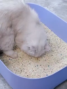 6L/1.6KG Premium Super Clumping Cat Litter Tofu Sand Pasir Kucing Wangi Tofu Litter Cat Toilet Kucing tandas 猫砂