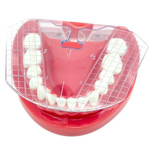 1Pc Dental Guide Plate Denture Teeth Arrangement Instrument Oral Measuring Ruler Complete Denture Alignment Measurement Tool