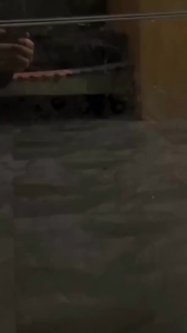 ซิลิโคนเลียสัตว์เลี้ยงสุนัข Feeder แผ่นเลียสำหรับสัตว์เลี้ยง เนยถั่วลิสงกินช้าเลีย CW101