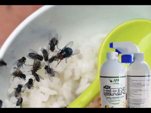 Thuốc diệt ruồi BIO 430ml (an toàn dùng trong gia đình ) chai xịt ruồi thế hệ mới