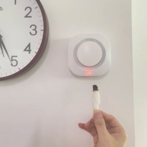 Wireless Smoke Detector: 433MHz Kaligtasan sa Sunog Sensor Tagapagpahiwatig ng Usok Reliable Fire Safety Solution for Homes and Businesses Madaling I-install with Real-Time Alerts