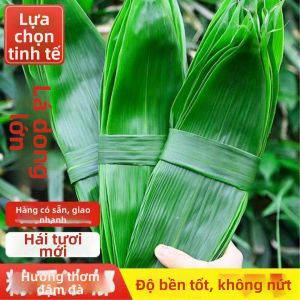 Lá Tre Fresh Lớn