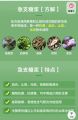 TAIJI JI ZHI TANG JIANG 太极急支糖浆 300ML / NOURISHES THE LUNGS & TO CLEAR HEAT EXP：29/12/2025. 