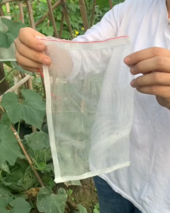 10 Pcs Fruit Cover Protection Netting Mesh Bag | Kantong Jaring Net Pembungkus Pelindung Buah