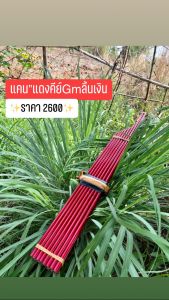 แคนแปดคีย์Gm ลิ้นเงินสีแดง เกรดพรีเมียร์