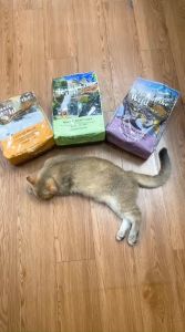 (Nguyên seal 66kg)Thức ăn mèo TASTE OF THE WILD Vị chim cút vịt quay