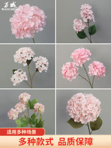 Bông Hoa Cầu Bích Giả Trang Trí Đám Cưới Bông Hoa Phong Cách Hiện Đại Hoa Tươi Không Thể Giặt Được Vật Liệu Trang Trí Nhà Cửa