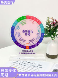 Acrylic Period Chart Acrylic Display Acrylic Period Acrylic Health Acrylic Women Acrylic Ovulation Acrylic White Acrylic