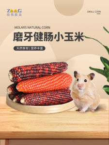 Hamster Molar Corn Mini Molar Rod Djungarian Hamster Flower Branch Mouse Rabbit Snack Nutrition Food Landscaping Supplies