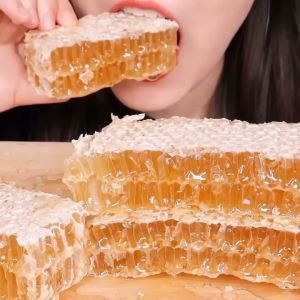 Madu Sarang Asli Murni Mellifera 500 Gram