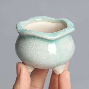 Mini Ceramic Coarse Porcelain Unglazed Split Glaze Ice Crack Meaty Plant Small Flower Pot Potted Landscape Thumb Pot Design