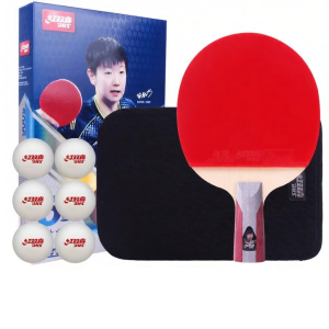 DHS | Beginner & Adult Friendly Table Tennis Racket