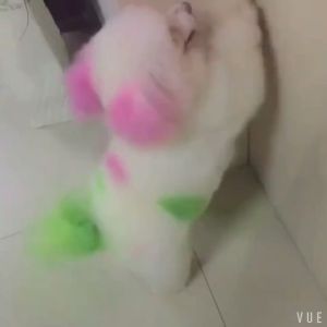 80G Pet Hair Warna-warni Rambut Coloring Semir Warna Rambut Bulu Anjing Kucing Aman Cat Dog Colouring