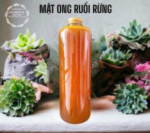 MẬT ONG RỪNG Mật ong ruồi rừng nguyên chất