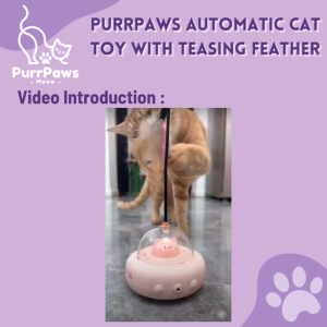 PurrPaws Automatic Cat Toy with Teasing Feather 🚀UFO-Shaped Cat Toy Mainan Kucing 逗猫玩具