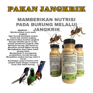 PAKAN JANGKRIK PENYUPLAI NUTRISI PADA BURUNG KICAU SETING BURUNG KICAU