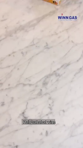 REGULATOR WINN GAS W-118M GAS ELPIJI LPG METER TEKANAN RENDAH / REGULATOR KOMPOR GAS SNI ORIGINAL