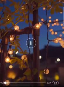 DÂY ĐÈN LED Bi Bọt 9M - 40 bóng TRANG TRÍ NOEL TẾT