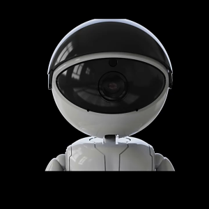 กล้องวงจรปิ AI Smart home WiFi กล้องดูแมว กล้อวงจรปิด กล้องมินิ 360 HD 1080Pกล้องจิ๋ว