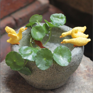 Copper Money Grass Hydroponic Duckling Flowerpot Pendulum Imitation Stone Mortar Succulents Micro Landscape Potted Plant