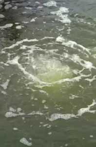 fine bubble diffuser 10 inch aerasi kolam ikan tambak udang kolam bioflok