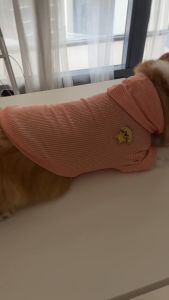 QA°09 Bear Breathable Hoodies with Long Sleeve Coverage Comfortable for All Types of Pets